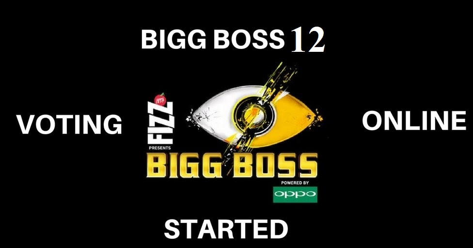 Bigg Boss 13 Voting Polls: BB Live Voting Online – Bigg Boss Vote